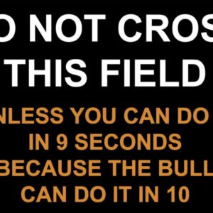 Black 12x6 inch sign with orange and white humorous text about outrunning a bull